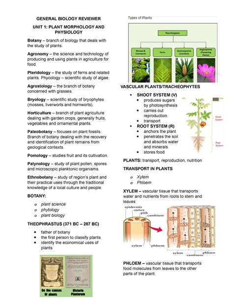 [ Reviewer]biology .